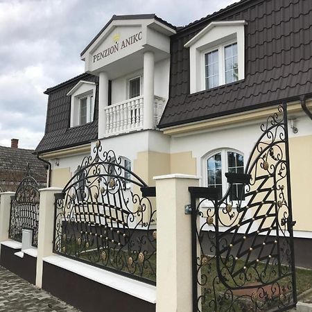 Penzion Aniko Diakovce-Sala Екстериор снимка
